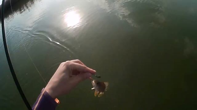 Ловля окуня на микроспинербейт смотреть онлайн