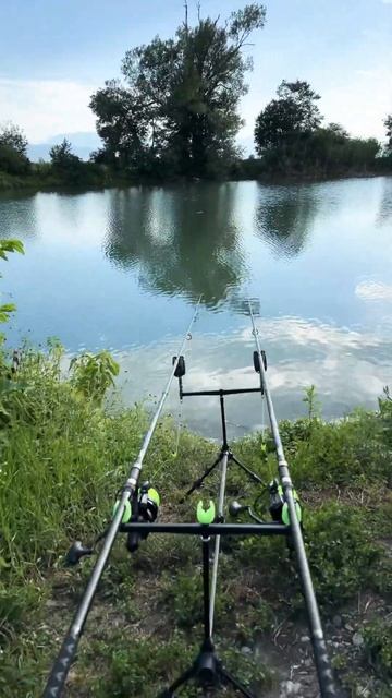 Рыбалка в Осетии ст. Архонская,лучшая рыбалка 👍 #рыба? смотреть онлайн