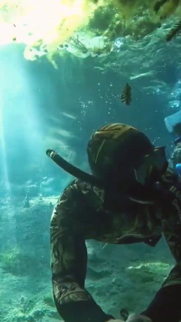 Озеро в тайге, его подводный мир. смотреть онлайн