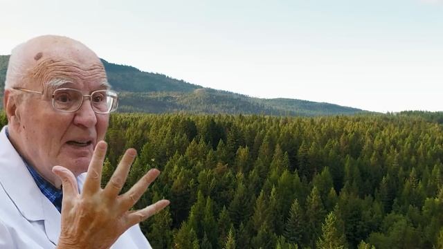 Питание для поджелудочной - простые продукты, которые лечат поджелудочную железу