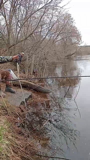 Вышний Волочёк тверца воду прикрыли8 апреля 2024 г.