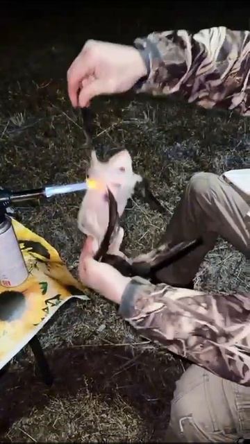 Охота в Атырау. Осень 2024 г. смотреть онлайн