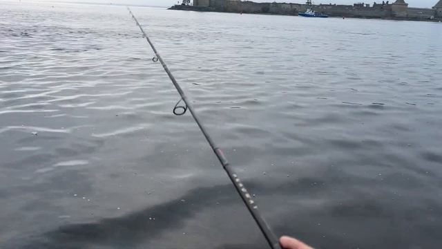 3 ноября 2024 г. Испытание спиннинга Zetrix Headway на Ладоге. смотреть онлайн