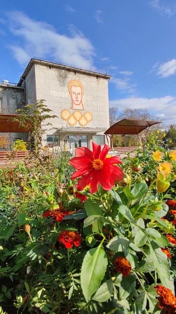 07.10.2023 Дом культуры ЗЛК Комсомольск-на-Амуре#2(3) смотреть онлайн