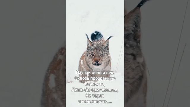 "Есть люди" смотреть онлайн