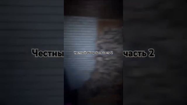 тест печи бани честный обзор Cometa Vega , Feringer, Novaslav,canada,pal,ca