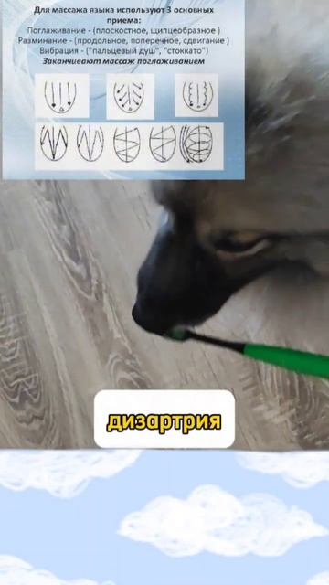 массаж зубной щёткой смотреть онлайн