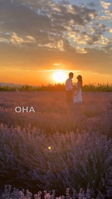 Почему нужно жениться на женщине-Стрельце?#совместимо смотреть онлайн