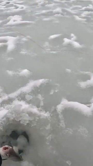 19 января 2025 г. смотреть онлайн