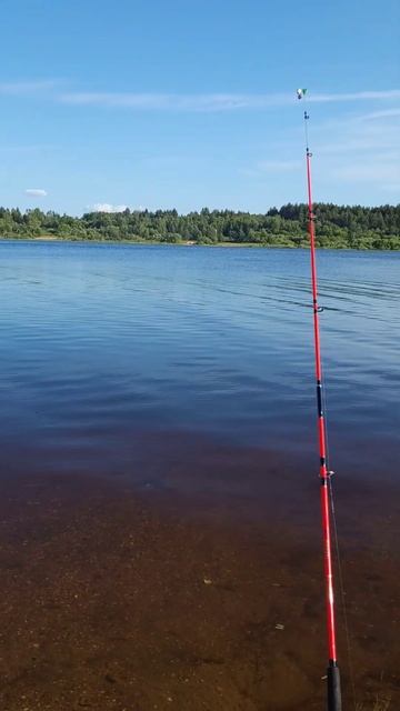 Рыбалка , природа. Вологодская область. Устье Кубинско смотреть онлайн