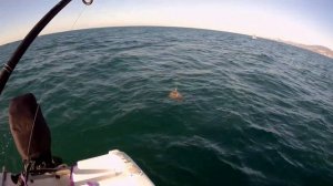 ТРОФЕЙНАЯ РЫБАЛКА! Поймал черноморскую акулу (Катран)