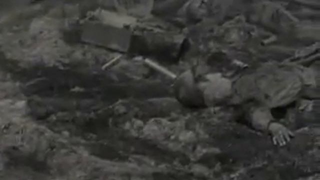 жаль подмога не пришла.......