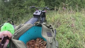 Трицикл СР-32 Тайфун, на разведку в лес за рыжиками!