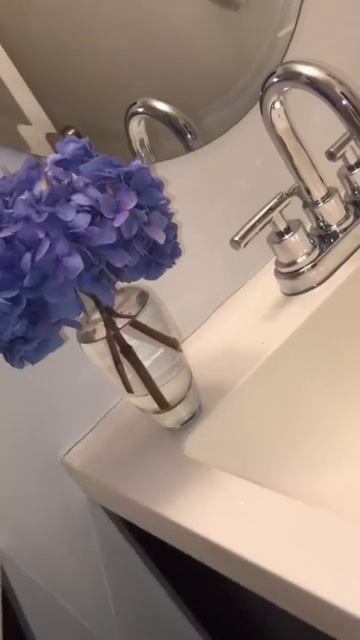 #hydrangea#macrophylla#hortensia#гортензия#garden#гортензія #shorts#アジサイ смотреть онлайн