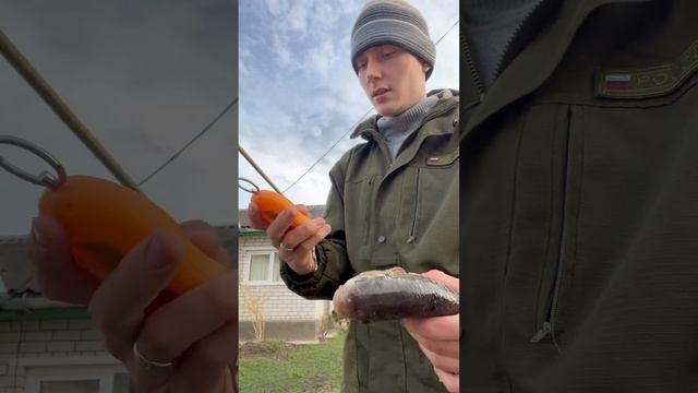 Успешная рыбалочка 👍 #рыбалканареке #fishing #донка