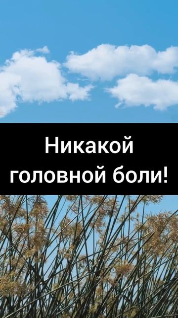 Как не "светить" свой номер телефона при регистрации н? смотреть онлайн