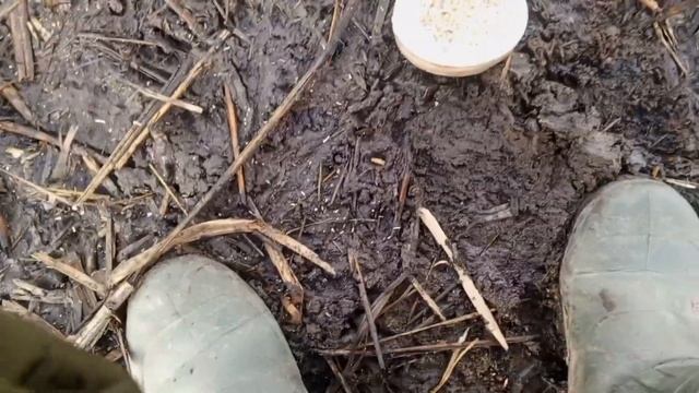 Рыбалка на донку от первого лица на канале