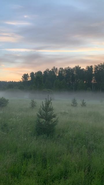 Выезд на рыбалку, остановился посмотреть на красоту п? смотреть онлайн