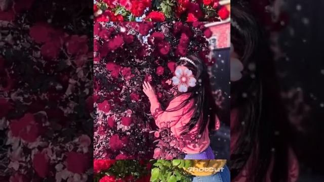 #сапани цыганская песня