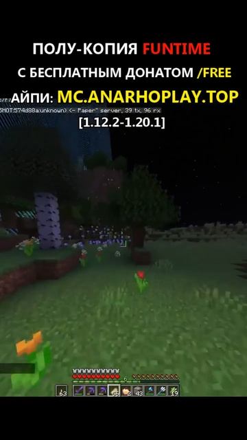 #анархист #anarchy #скайблок #pvp #сервера #одинблок #gamegrief #ana смотреть онлайн