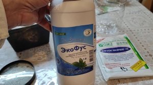 ЭКО Фус. Добавляю при поливе рассады.