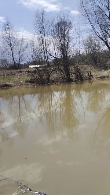 релакс #природа#красота#рыбалка#рекомендации#топ#рела смотреть онлайн