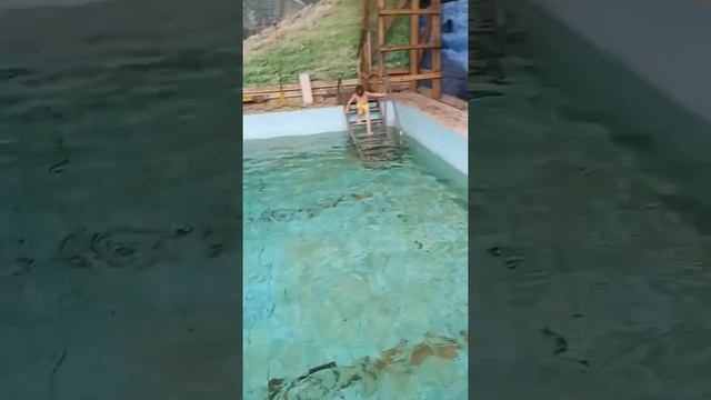 Теплые ключи, учимся плавать смотреть онлайн