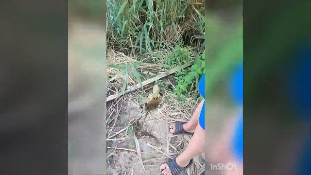 рыбалка на кукурузу!мы не живодёры!!! она сама взяла кр? смотреть онлайн