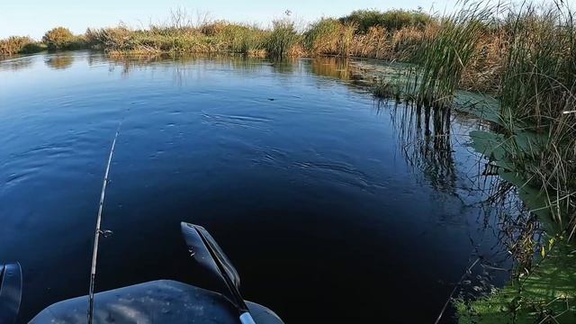 ИШИМ ПОКОРИЛ МОЁ СЕРДЦЕ - Рыбалка на Спиннинг