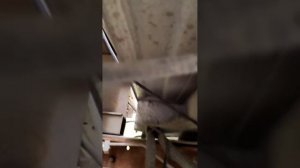 установка камеры заднего вида на газель некст, часть 1?