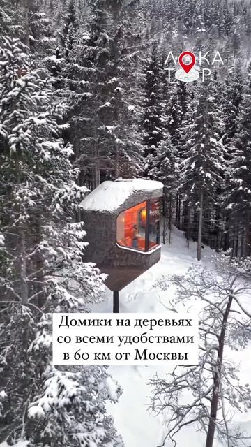 Отель на дереве в Москве! Адрес отеля в описании канал? смотреть онлайн