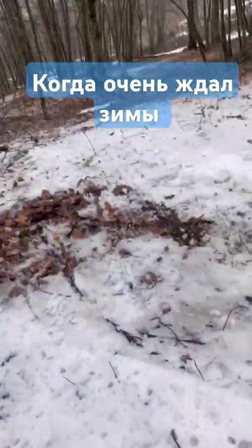 В целом неплохо, подложка есть )) #фрирайд #сноуборд #лы? смотреть онлайн