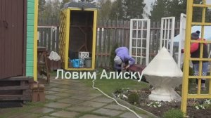 6 соток 11 мая 2025 года. Хроника