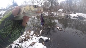 Голавль на спиннинг зимой. Места, приманки, проводка
