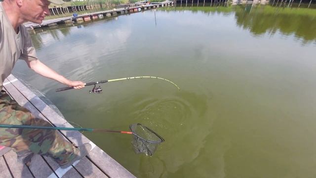 Карп на актив! Williams wabler 40 смотреть онлайн