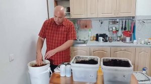 Как сделать биогумус в домашних условиях. Черви стара?