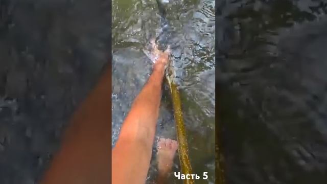 #24часа #рыбалка #выживание #форель смотреть онлайн