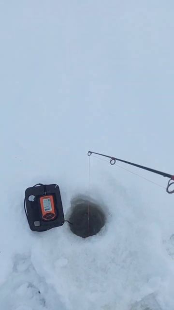 #рыбалка #fishing #гореморе #юрьевец #zanderfishing #поймалотпуст смотреть онлайн