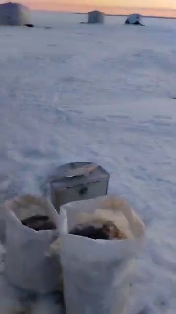 Салтоим Итог рыбалки смотреть онлайн