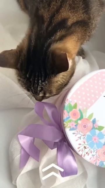 Пример - Mojo смотреть онлайн