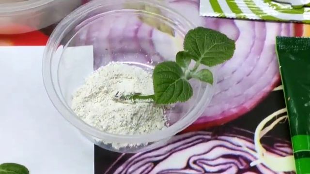 ЧЕРЕНКУЕМ ГОРТЕНЗИЮ ПОЧКОЙ РАННЕЙ ВЕСНОЙ смотреть онлайн