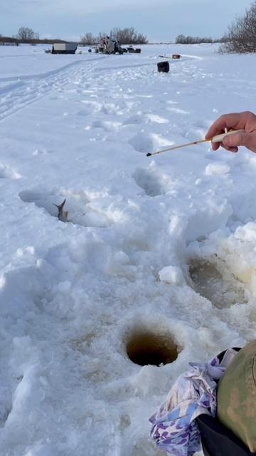 #рыбалка #окунь #мормышка #зимняяловлярыбы