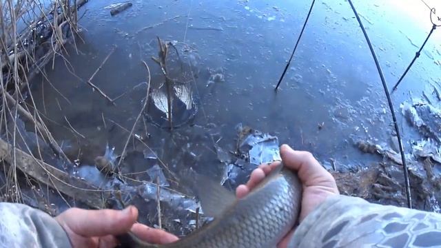 Царь Батюшка Урал!Закрываем Сезон!#рыбалка #фидер #fishing смотреть онлайн