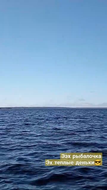 Лен. область смотреть онлайн