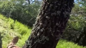 Видео с экшн-камеры боевика ВСУ (трофей) - неудачный выход, попадание в засаду ,уничтожение на месте