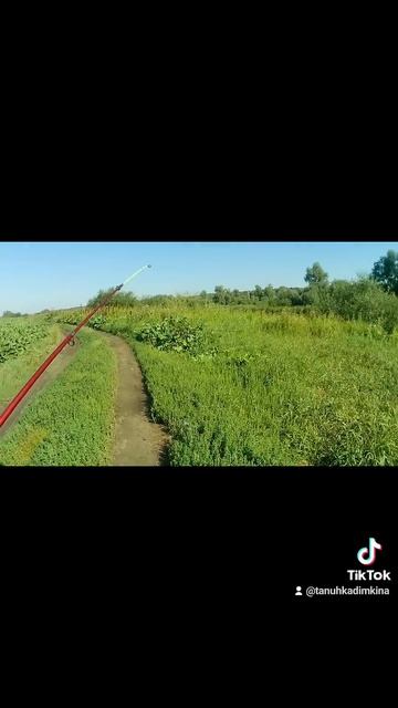 #fishing #лодка #новосибирск #рыбалка смотреть онлайн