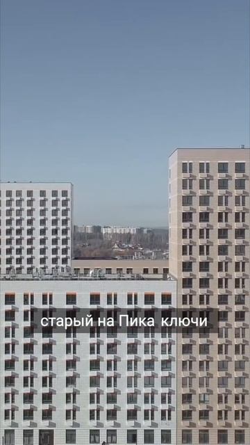 Что происходит с ценами на новостройки в январе 2025? #п? смотреть онлайн