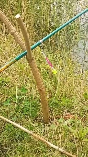 Рыбалка на Закидушку Донка новый ставок Ловим карася