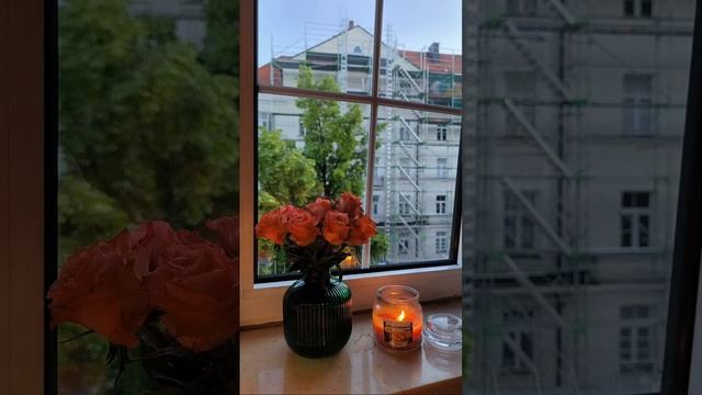 Работа началась, мои два кавалера. Никита Забазнов и Нова сладкая парочка