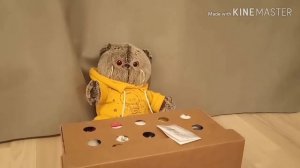 Выпуск новостей от Басика. Смешные новости 😅😅😅